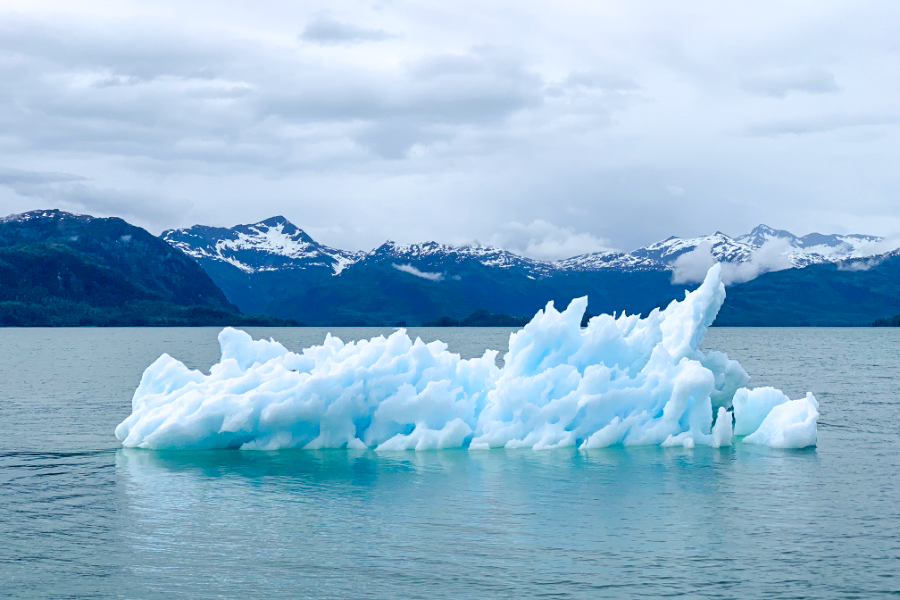 Divestment in and of itself would not meaningfully impact climate change